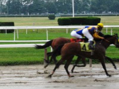 Belmont Stakes